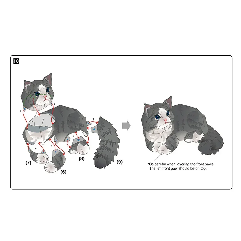 Foresta norvegese Gatto Pieghe - Art Craft Cardboard recensione e prezzo